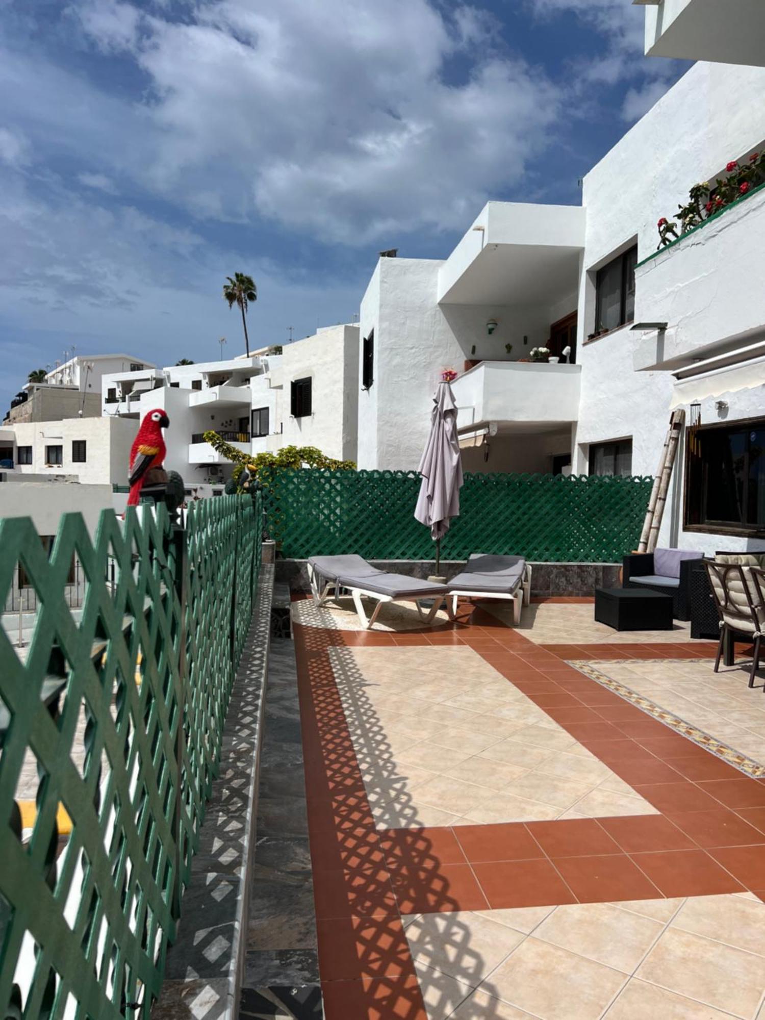 Lovely Apartment 2 Rooms With Big Terrace In Puerto Rico Puerto Rico  Exteriér fotografie